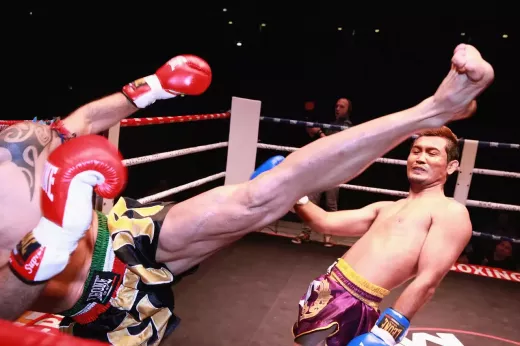 MMA- לוחם רוריון גרייסי