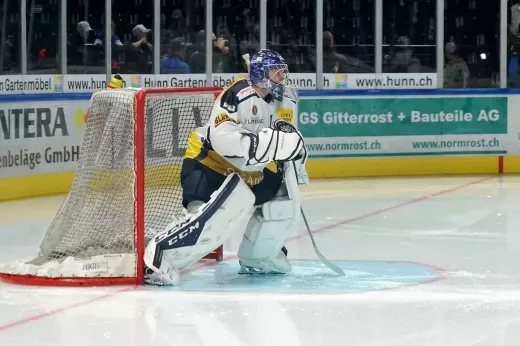 המשמר המחליף: להיפרד משוערי ההוקי הפנטזיה האלה