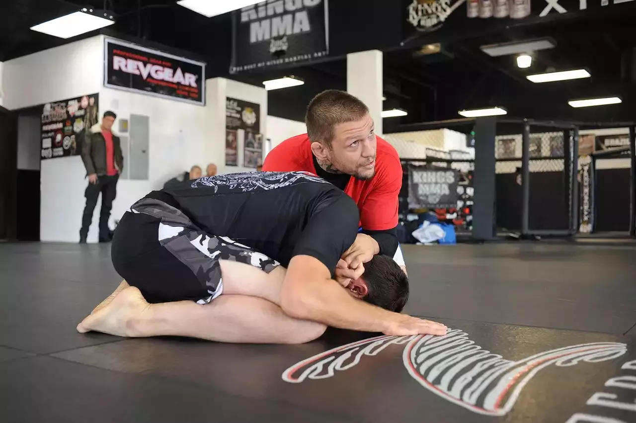 MMA: אליפות הלחימה האולטימטיבית