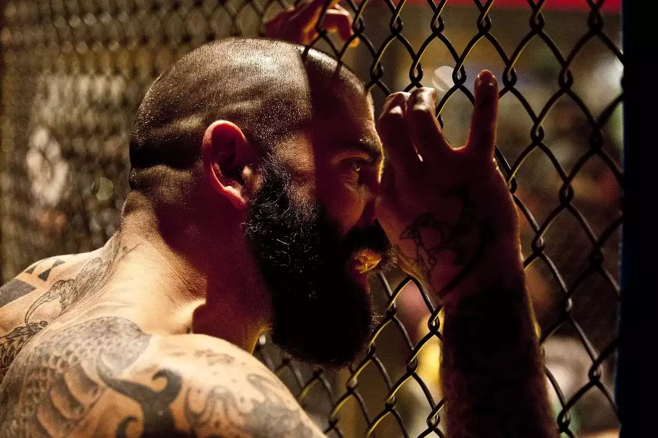מדריך לוחמי MMA ללחימה בכלוב