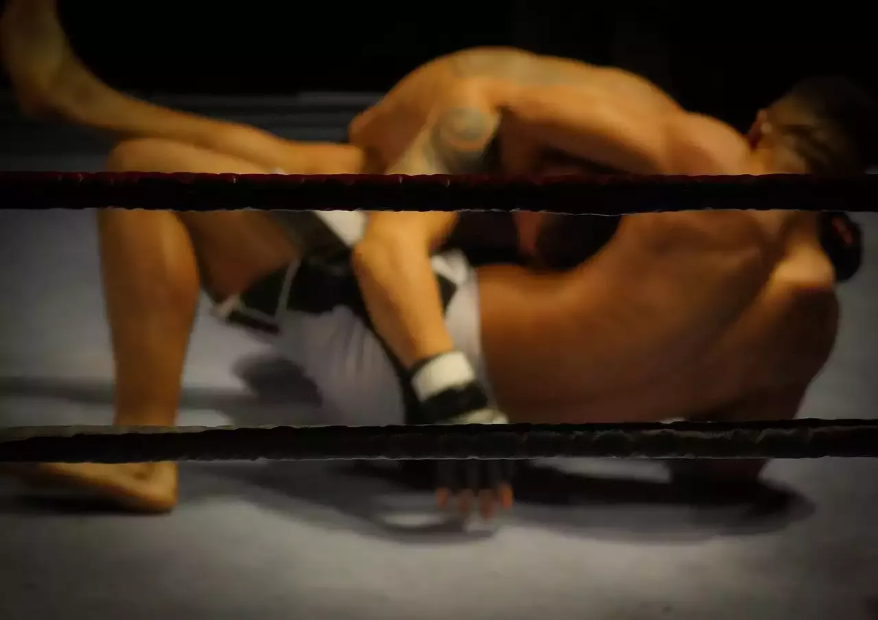 MMA-ג'ינה קאראנו